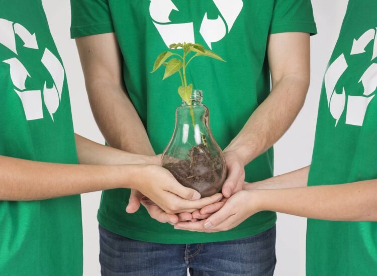 group-people-holding-plant-hands-together group-people-holding-plant-hands-together