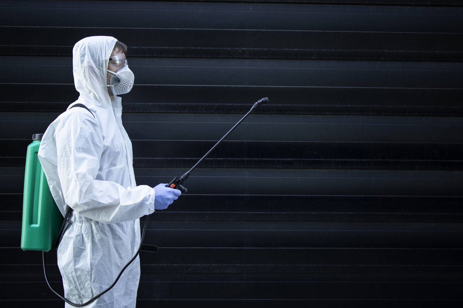 Field Inspection & Pest Risk Assessment